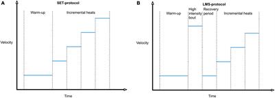 Profiling the Aerobic Window of Horses in Response to Training by Means of a Modified Lactate Minimum Speed Test: Flatten the Curve